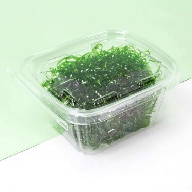 Contenitori Safe-T-Fresh con sigillo rettangolari 500ml