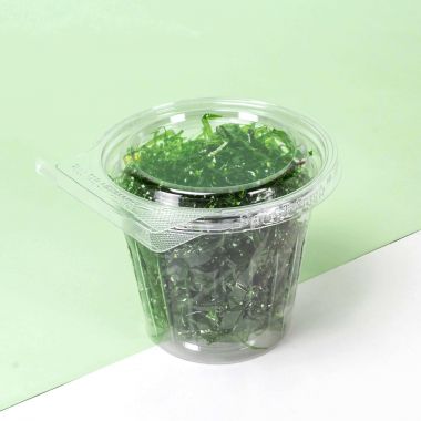 Bicchieri contenitori con sigillo e coperchio piatto 350ml