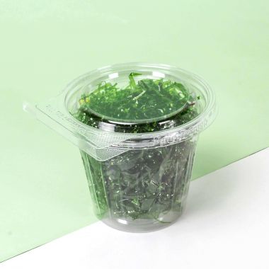 Disposable Snack Cup with Flat Lid 350ml