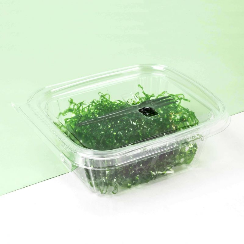 Rectangular Safe-T-Fresh 500ml Rectangular Safe-T-Fresh 500ml