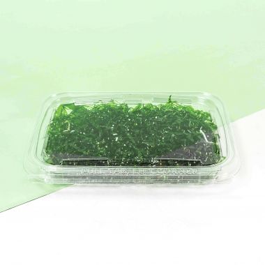 Contenitori Safe-T-Fresh con sigillo rettangolari 350ml