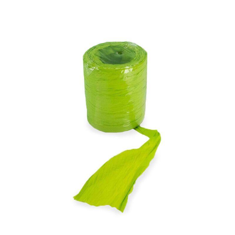 Nastro decorativo Decofiok 50 m - Menta Nastro decorativo Decofiok 50 m - Menta