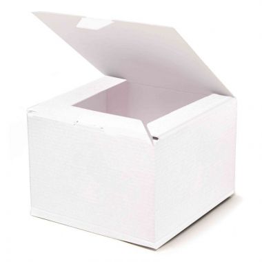 Termo scatole Air-Box 16x16x18 cm