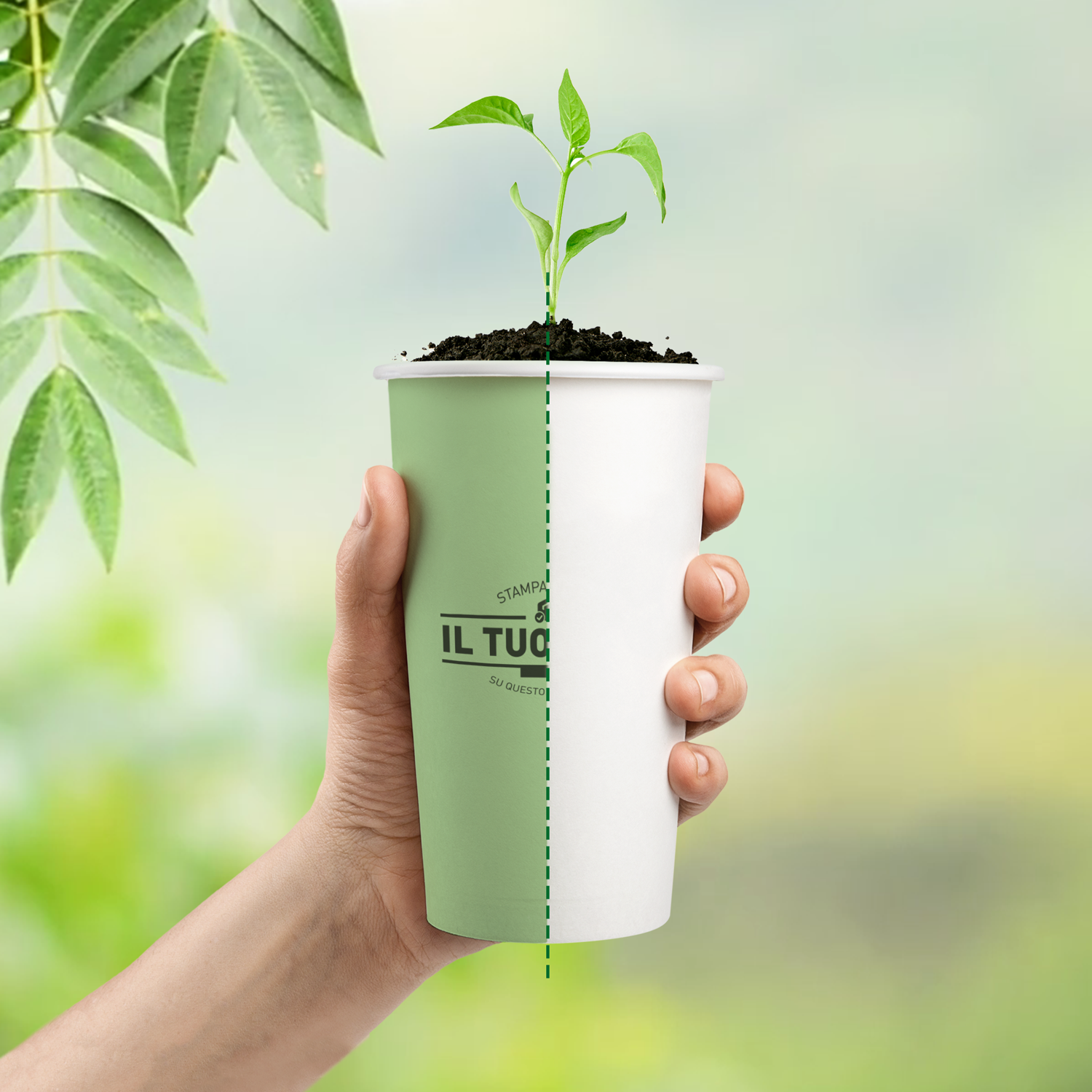 50, 200ml Made in Italy 50 Bicchieri in Carta da 200ml Riciclabili Monouso Cartoncino Biodegradabile Compostabile per Acqua caffè Thè Cioccolata Calda Bevande Ecologico USA e Getta Tutto Bianco 50, 200ml Made in Italy 50 Bicchieri in Carta da 200ml Riciclabili Monouso Cartoncino Biodegradabile Compostabile per Acqua caffè Thè Cioccolata Calda Bevande Ecologico USA e Getta Tutto Bianco